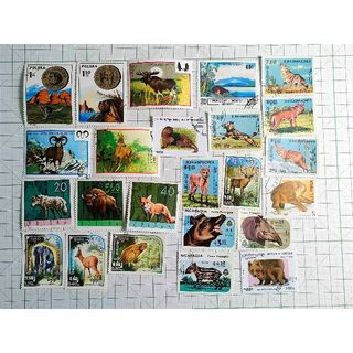 野生動物 世界 の 切手 約100枚 タイガー 豹 象 チーター 狐 パンダ 兎(使用済み切手/官製はがき)