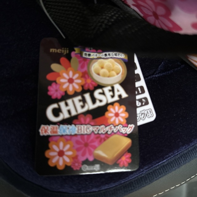 chelsea(チェルシー)のチェルシー☆大容量保温･保冷バッグ スポーツ/アウトドアのアウトドア(その他)の商品写真