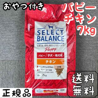 セレクト(SELECT)のセレクトバランス チキン 小粒 7kg パピー ドッグフード  ペットフード(ペットフード)