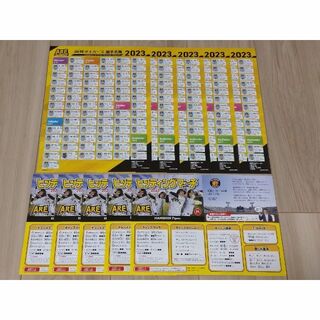 2023年阪神タイガースヒッティングマーチ歌詞カード・選手名鑑(各5枚)(応援グッズ)