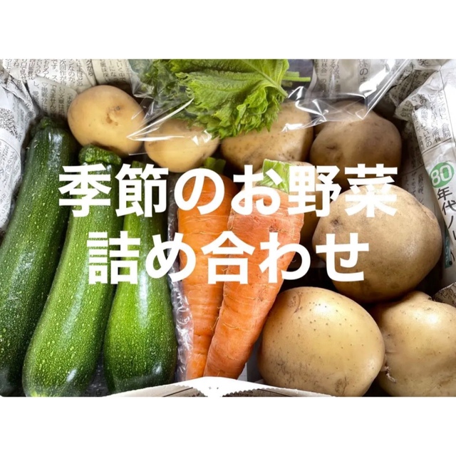 季節のお野菜詰め合わせ コンパクトボックス 愛媛県産 食品/飲料/酒の食品(野菜)の商品写真