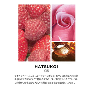 初恋 -HATSUKOI- ✳︎Prolitec✳︎ 13ml✳︎(アロマオイル)