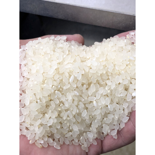 農家直送の美味しいお米 令和2年度産 ヒノヒカリ 10キロ