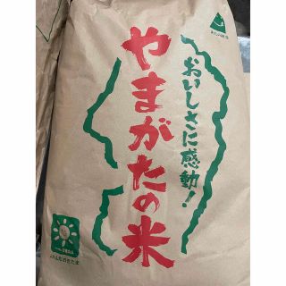 送料込み　令和4年産　山形県産　ひとめぼれ　白米　20キロ　10キロ×2(米/穀物)