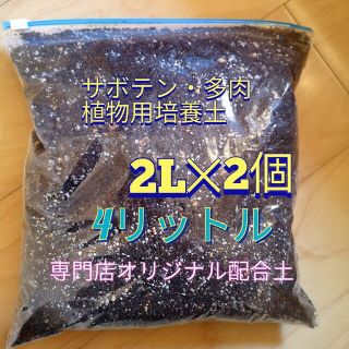 大人気専門店オリジナル培養土2Lを2個セット☆農家産サボテン・多肉植物用培養土♪(プランター)