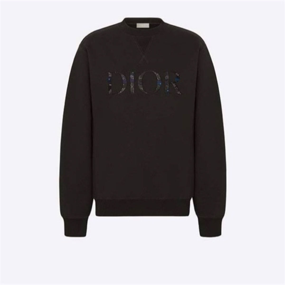 Dior homme × Peter Doig スウェット 21aw