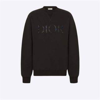 ディオールオム(DIOR HOMME)のDior homme × Peter Doig スウェット 21aw(スウェット)