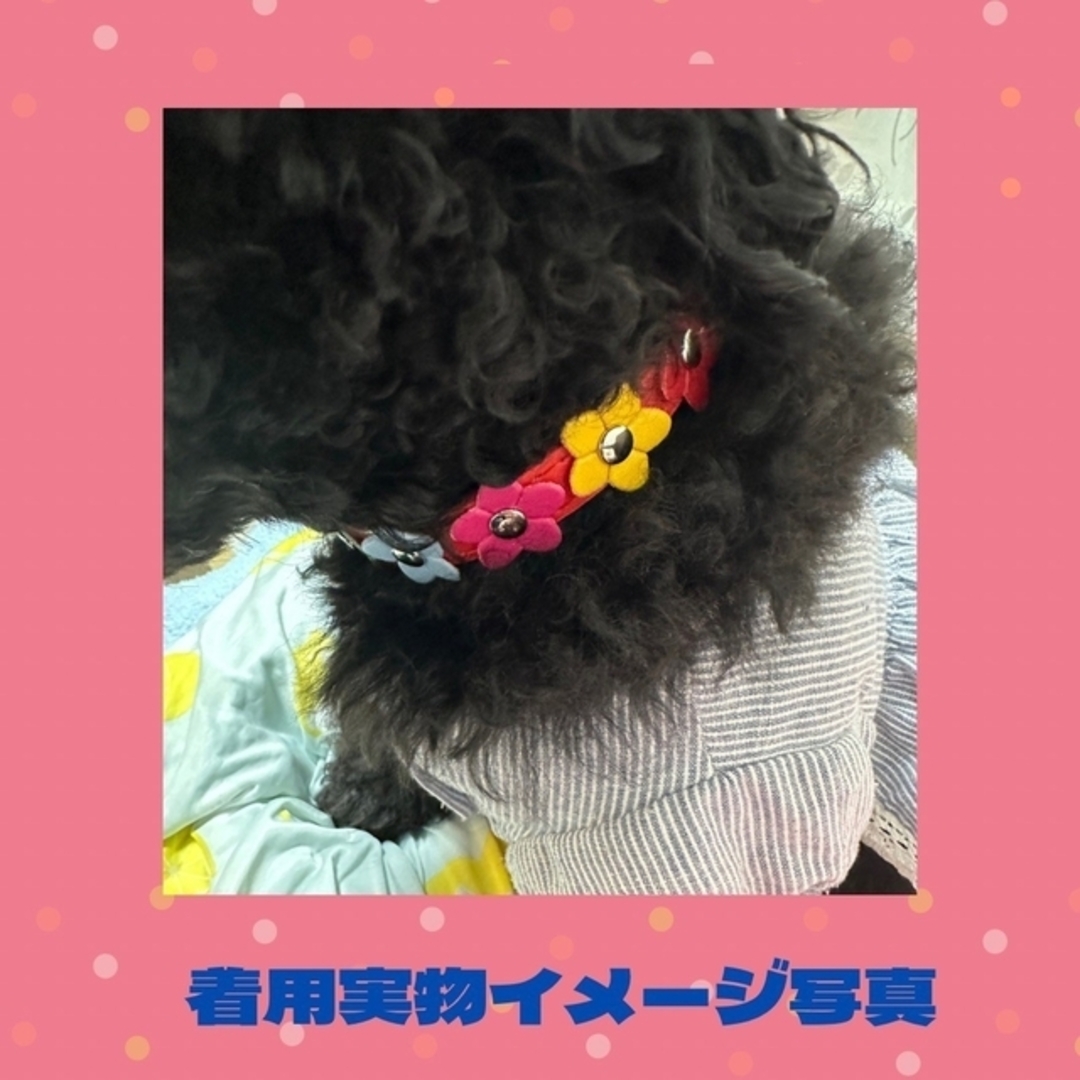 首輪 花 犬 猫 桜 カラフル 小型犬 【レッド.XS】 その他のペット用品(その他)の商品写真