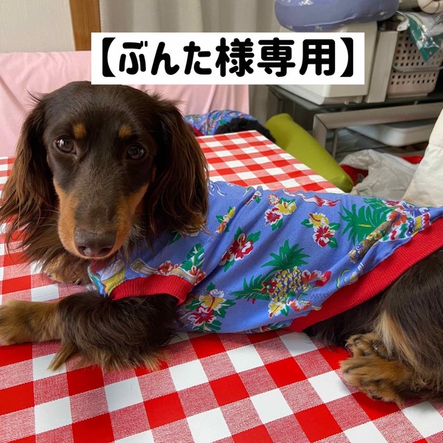 『ぶんた様専用ハワイアンタンクトップ』　メルロコ　ダックス　犬服 ハンドメイドのペット(ペット服/アクセサリー)の商品写真
