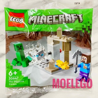 レゴ(Lego)のLEGO Minecraft 鍾乳洞 マイクラ ミニフィグ マインクラフト(その他)
