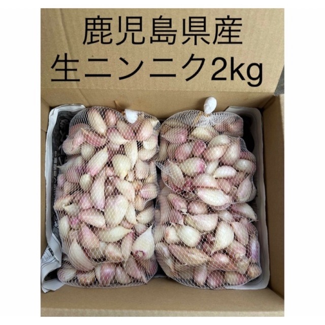 鹿児島県産　ニンニク2kg 食品/飲料/酒の食品(野菜)の商品写真