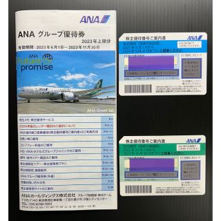 エーエヌエー(ゼンニッポンクウユ)(ANA(全日本空輸))のANA株主優待券(その他)