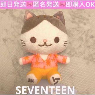 セガ(SEGA)の【即日発送】SEVENTEEN セブチ 猫ぬいぐるみマスコットJUN   ジュン(アイドルグッズ)