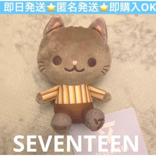 セガ(SEGA)の【即日発送】SEVENTEEN セブチ 猫ぬいぐるみマスコットHOSHI  ホシ(アイドルグッズ)