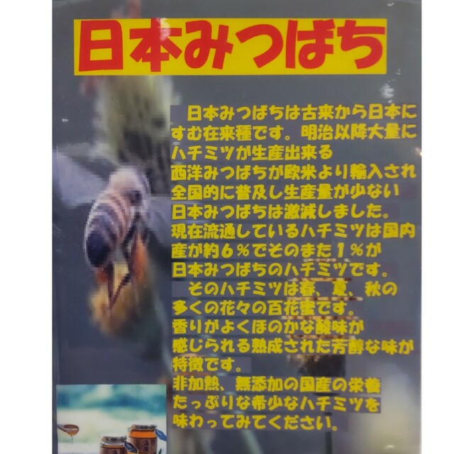 最終値下げ国産蜂蜜　宮城県産　日本みつばち蜂蜜　まとめて2本　送料込み