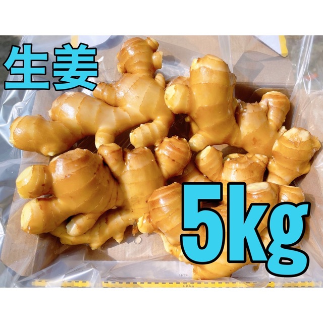 生姜5kg 食品/飲料/酒の食品(野菜)の商品写真