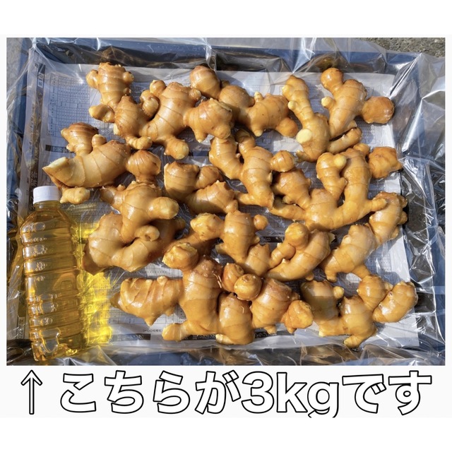 生姜5kg 食品/飲料/酒の食品(野菜)の商品写真