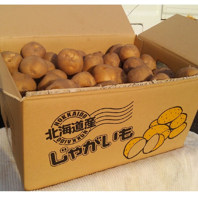 越冬じゃがいも きたあかり 食品/飲料/酒の食品(野菜)の商品写真