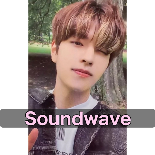 【Soundwave 予約特典】Straykids スキズ スンミン 5star | フリマアプリ ラクマ