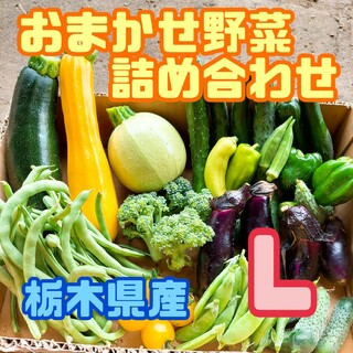 おまかせ野菜詰め合わせBOX【L】(野菜)