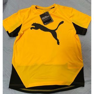 プーマ(PUMA)のPUMA ドライセルTシャツ　半袖　 150(ウェア)