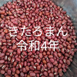 きたろまん 小豆 北海道 道産(米/穀物)