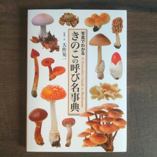 新品未読 きのこの呼び名事典 写真でわかる 大作晃一(趣味/スポーツ/実用)