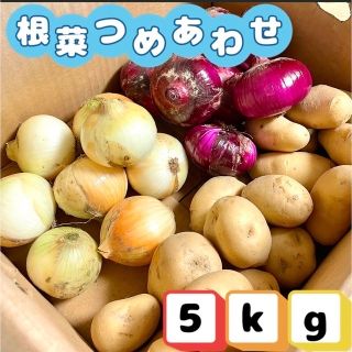 新じゃが新たまねぎ 根菜詰め合わせ(野菜)