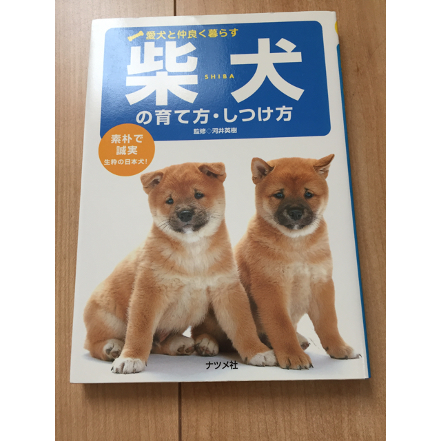 柴犬の育て方・しつけ方 エンタメ/ホビーの本(その他)の商品写真