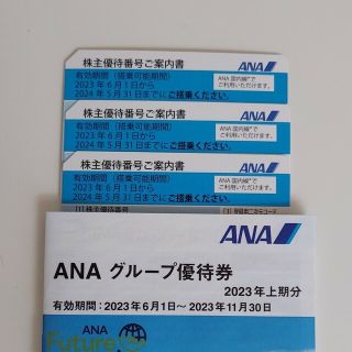 エーエヌエー(ゼンニッポンクウユ)(ANA(全日本空輸))のANA株主優待券　３枚、ANAグループ優待券　1冊(航空券)