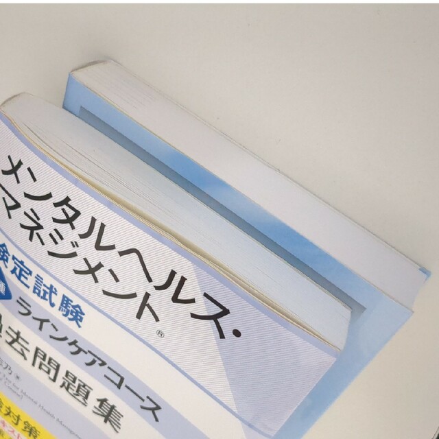 メンタルヘルス・マネジメント検定試験２種ラインケアコース過去問題集 ２０２０年度 エンタメ/ホビーの本(資格/検定)の商品写真