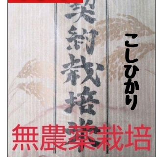 兵庫県丹波産こしひかり玄米10kg(令和4年産)(米/穀物)