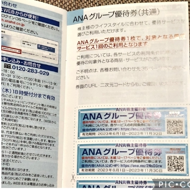 ANA 株主優待 2枚 全日空 11月30日期限
