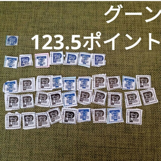 グーンポイント　123.5P チケットのチケット その他(その他)の商品写真