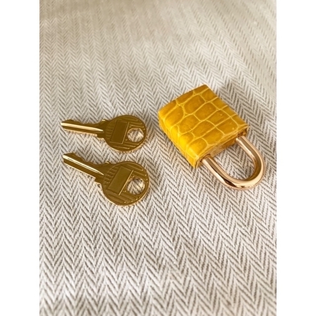 本クロコのカデナ ゴールド金具 レディースのバッグ(その他)の商品写真