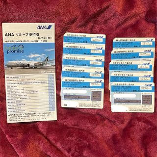 エーエヌエー(ゼンニッポンクウユ)(ANA(全日本空輸))のANA 株主優待券　2024.05.31まで10枚(航空券)