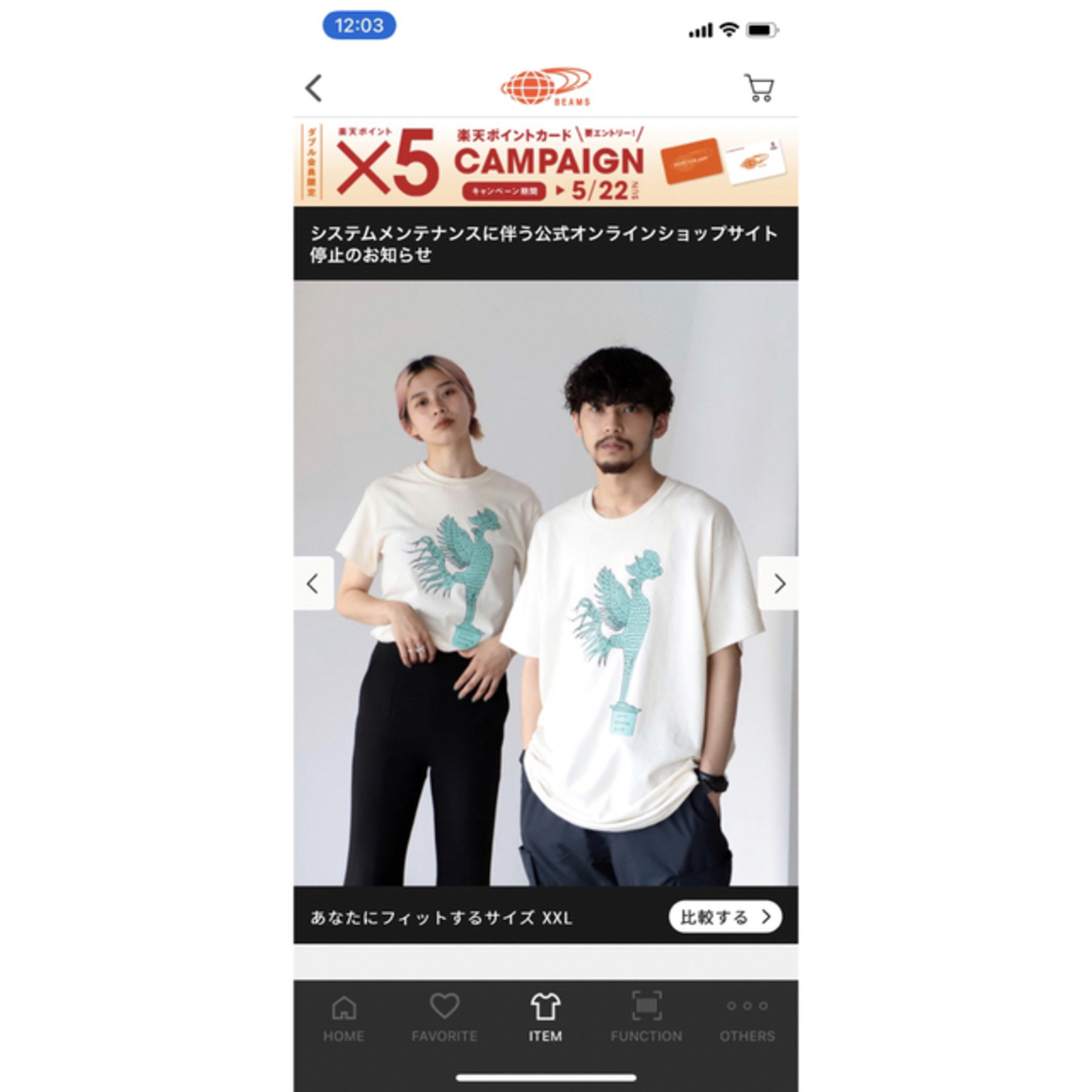 BEAMS(ビームス)のBEAMS FUJI ROCK  FESTIVAL Tシャツ　'21 レディースのトップス(Tシャツ(半袖/袖なし))の商品写真