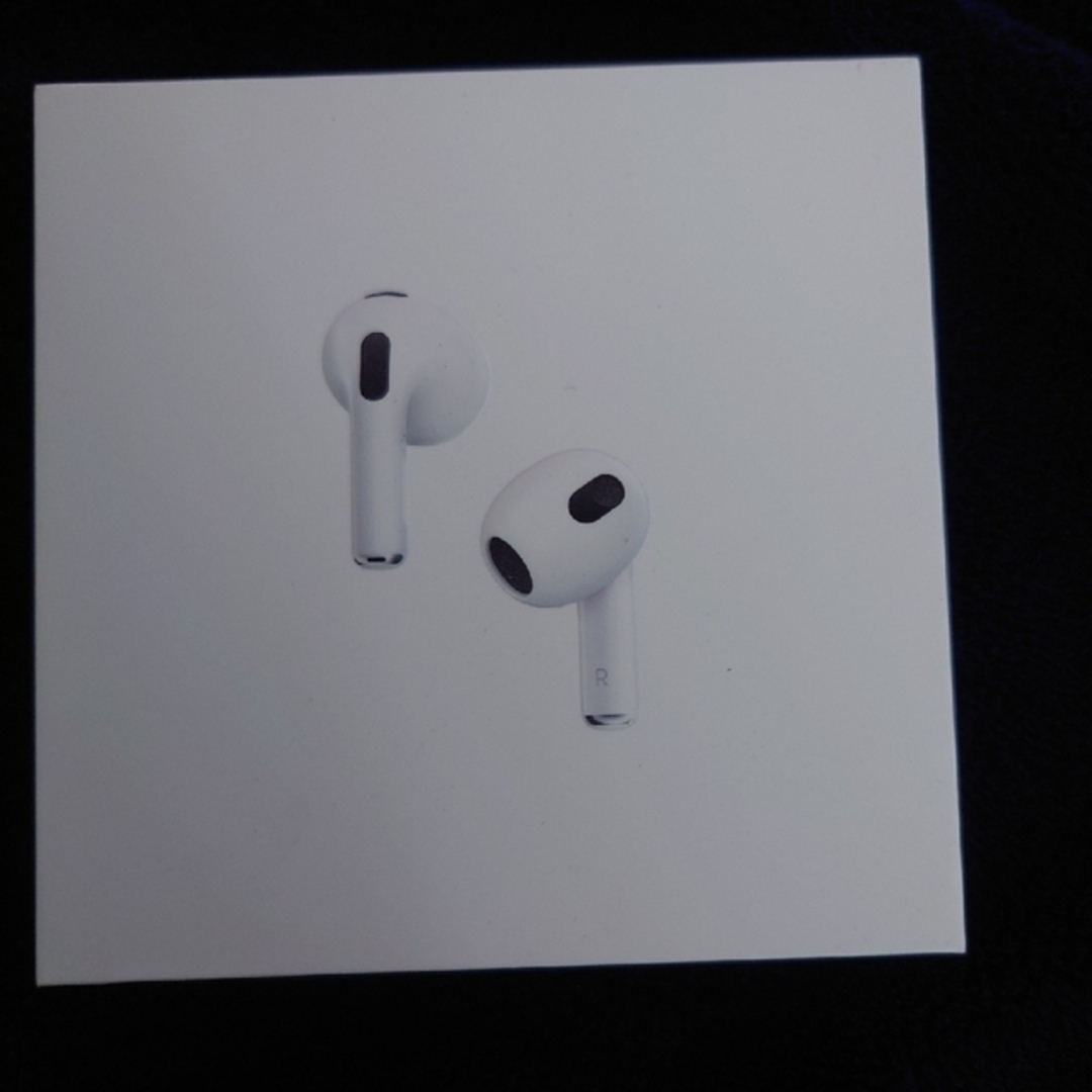 アップル AirPods 第3世代 MME73J/A対象外プラグ形状