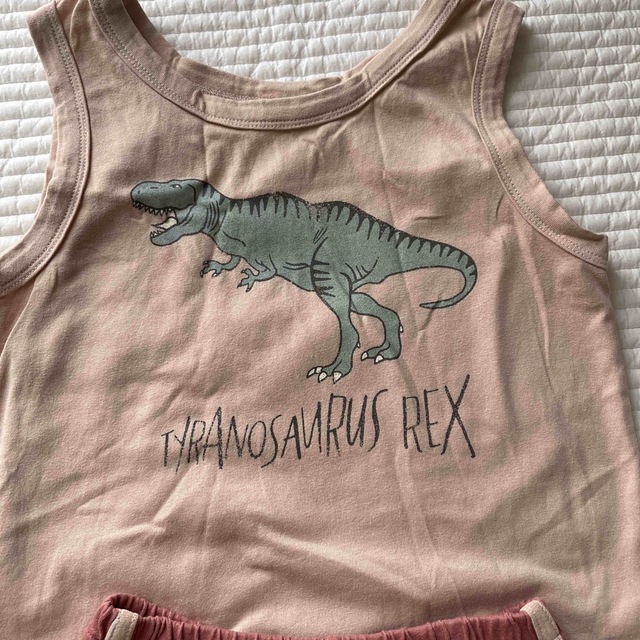 dinosaur setup Sサイズ キッズ/ベビー/マタニティのキッズ服男の子用(90cm~)(その他)の商品写真