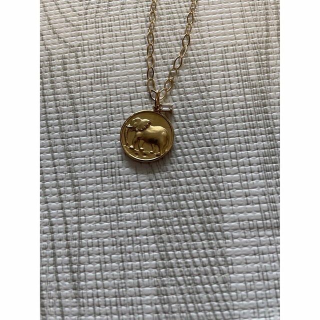 YON jewelry コインネックレス | hartwellspremium.com