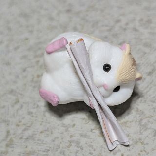 ハムスター　おみくじ(その他)