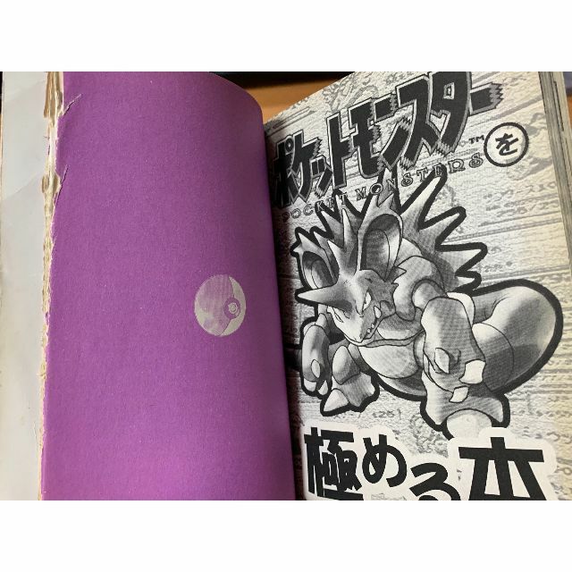ネタ本‼︎】ポケットモンスターを極める本、究極の4冊セット