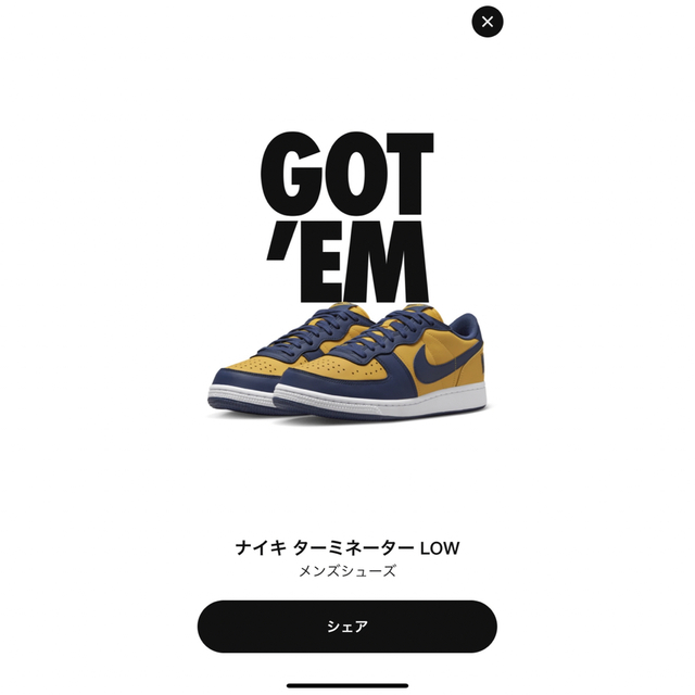 NIKE(ナイキ)のNike Terminator Low Michigan US9.5 メンズの靴/シューズ(スニーカー)の商品写真