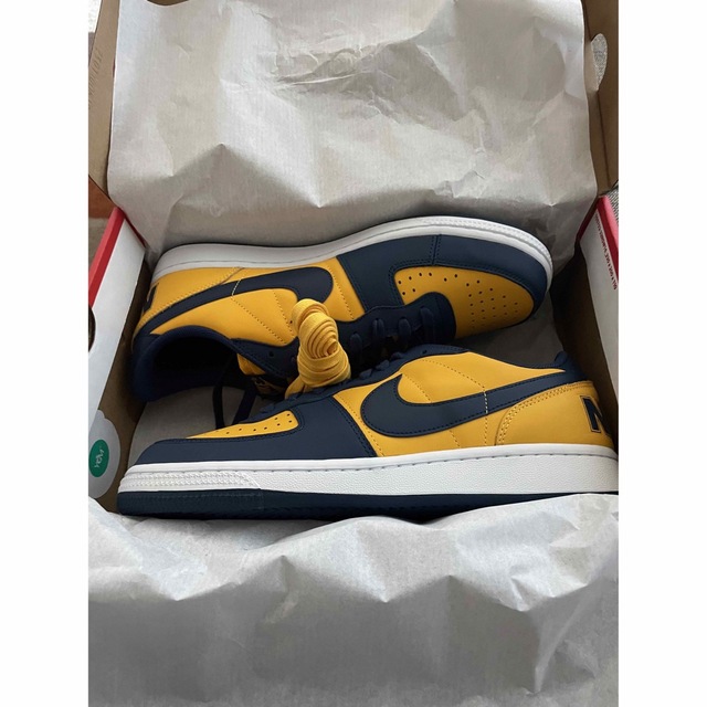 NIKE(ナイキ)のNike Terminator Low Michigan US9.5 メンズの靴/シューズ(スニーカー)の商品写真