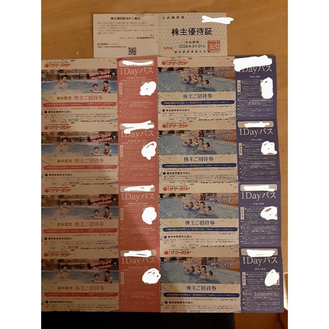 東京サマーランド 株主優待 2セット チケットの施設利用券(遊園地/テーマパーク)の商品写真
