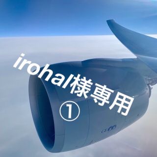 irohal様専用　①(その他)