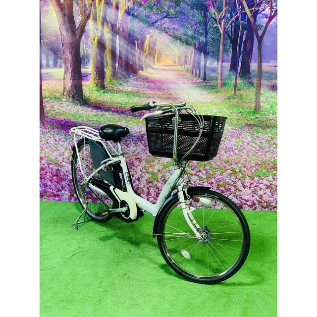 レア?!☆ 5300子供乗せ電動アシスト自転車ブリヂストン3人乗り対応