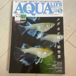 月刊 AQUA LIFE (アクアライフ) 2021年 05月号(その他)