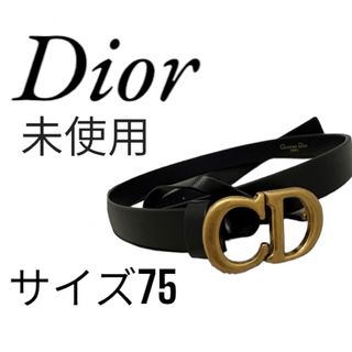 ディオール(Dior)のDIOR  saddle ベルト　値下げ(ベルト)