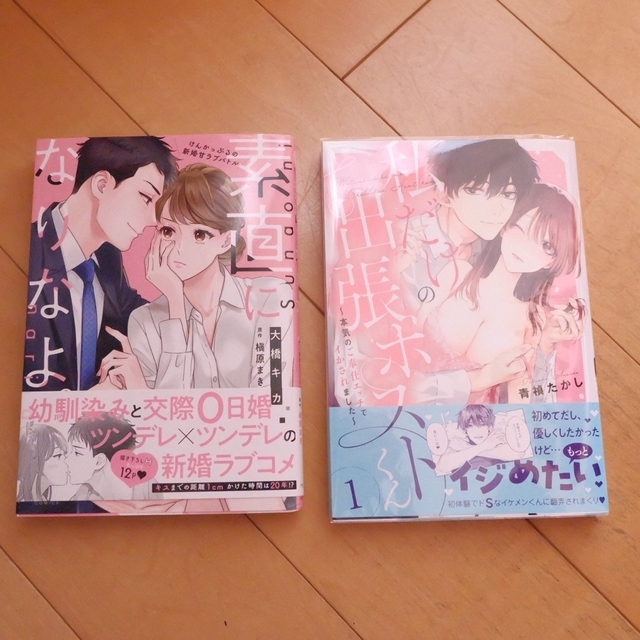 WEB限定】【WEB限定】私だけの出張ホストくん~本気のご奉仕エッチでイ